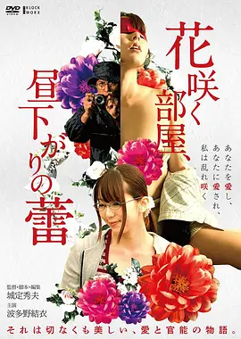潮声之后 电影封面
